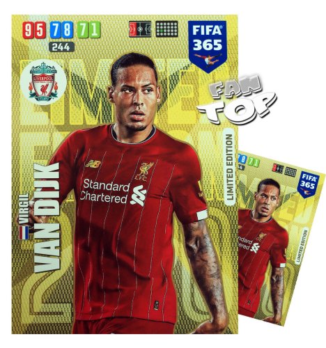 van-dijk-xxl-y.jpg
