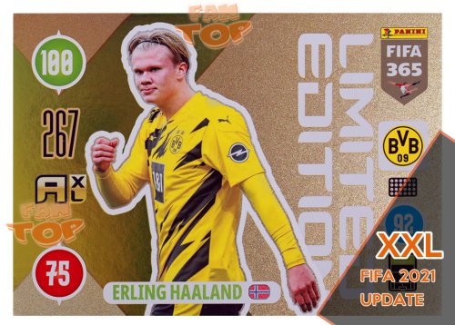 xxl-haaland.jpg