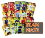 karty TEAM MATE   -  UPDATE Fifa 365 2021  