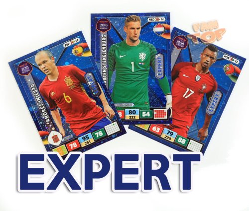expert.jpg