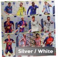 FANS-silver.jpg