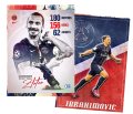 p14-ibra-psg.jpg